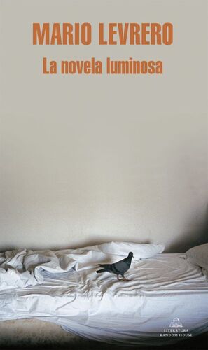 LA NOVELA LUMINOSA