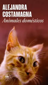 ANIMALES DOMESTICOS